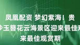 凤凰配资 梦幻紫海！贵州金沙玉簪花云海景区迎来最佳观赏期