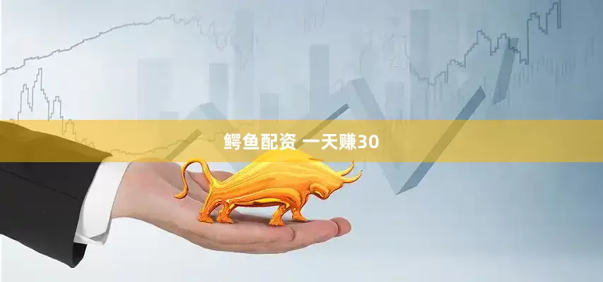 鳄鱼配资 一天赚30